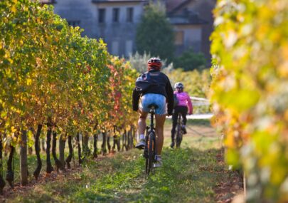 bike tour prosecco
