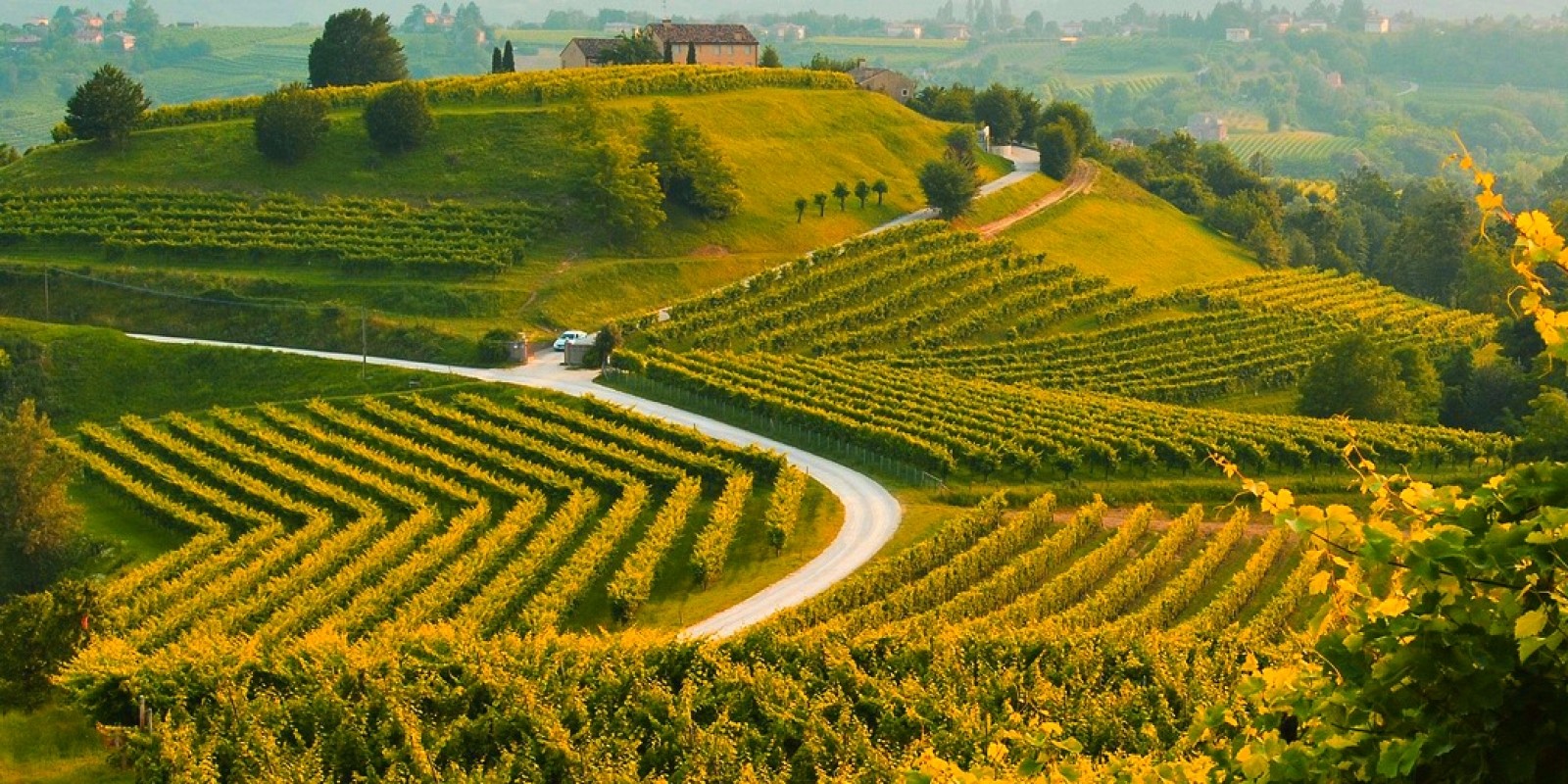 valdobbiadene 31116